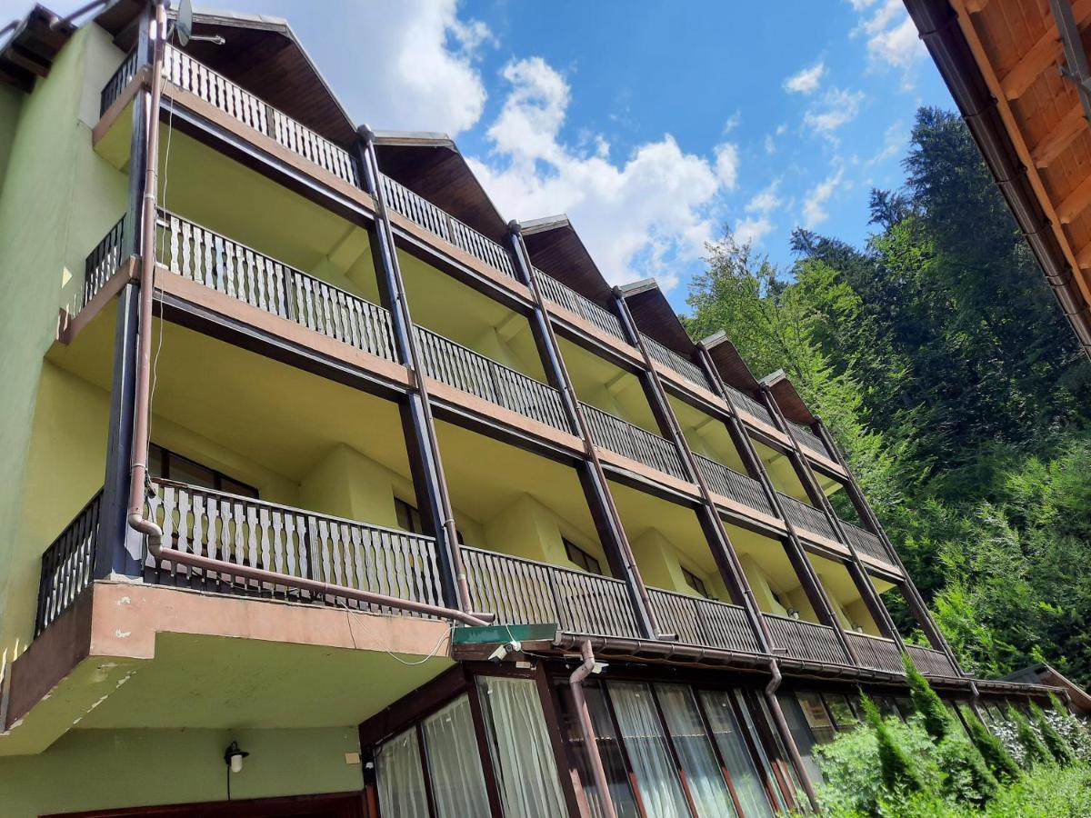 Ezio House Hotel Timișu de Jos Eksteriør billede