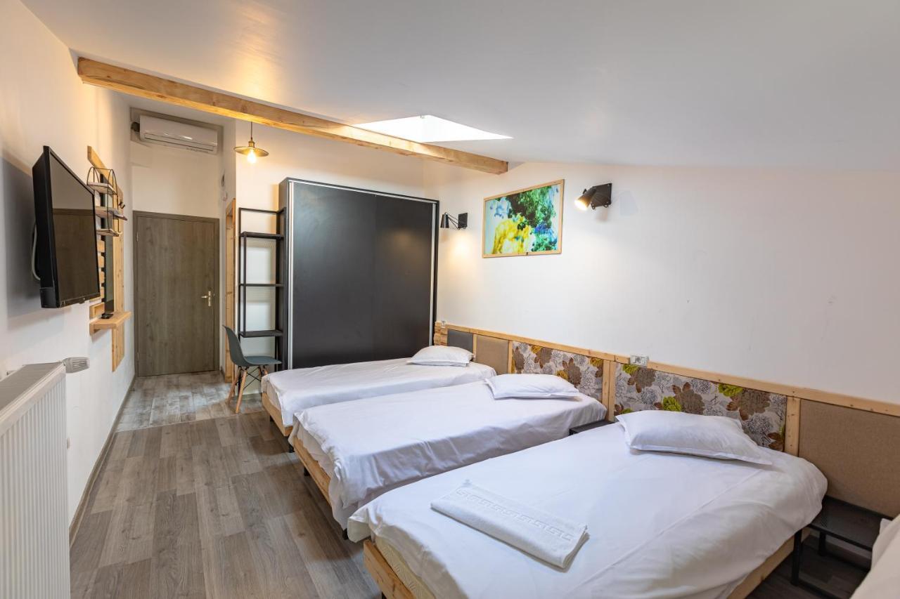 Ezio House Hotel Timișu de Jos Eksteriør billede